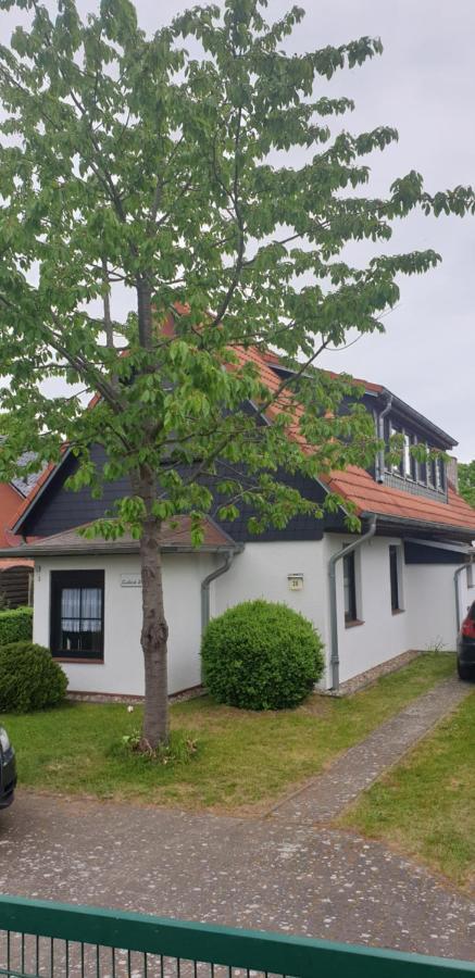 Seeblick Göhren-Lebbin Buitenkant foto